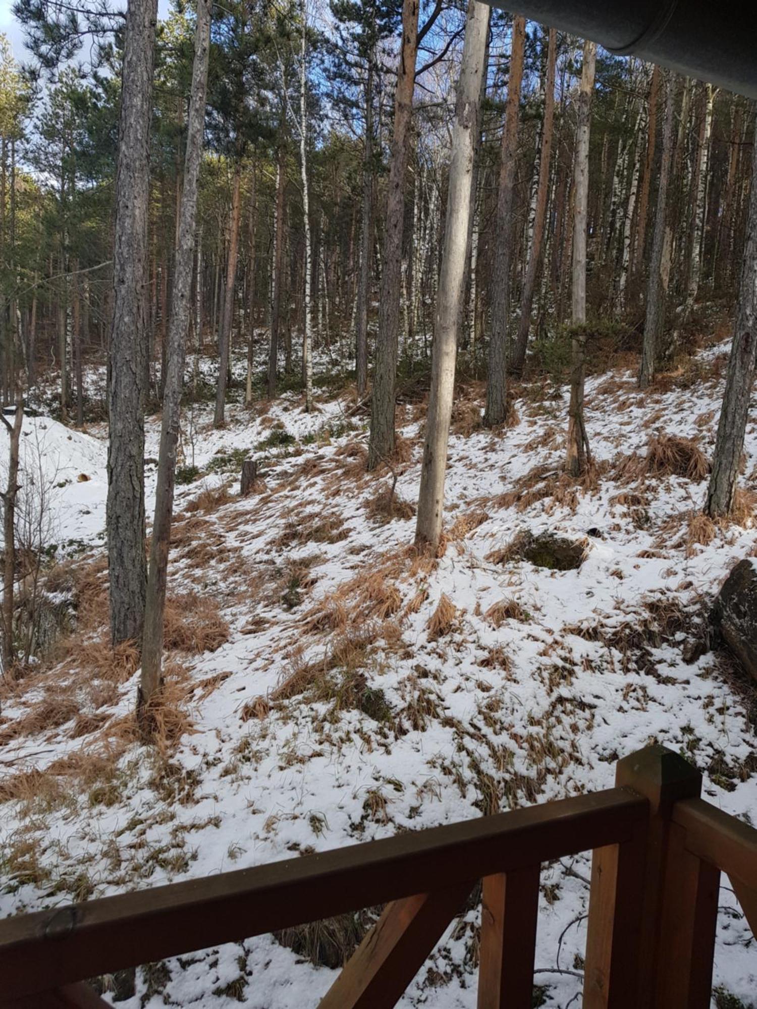 Divcibarski Konak Divcibare Bagian luar foto