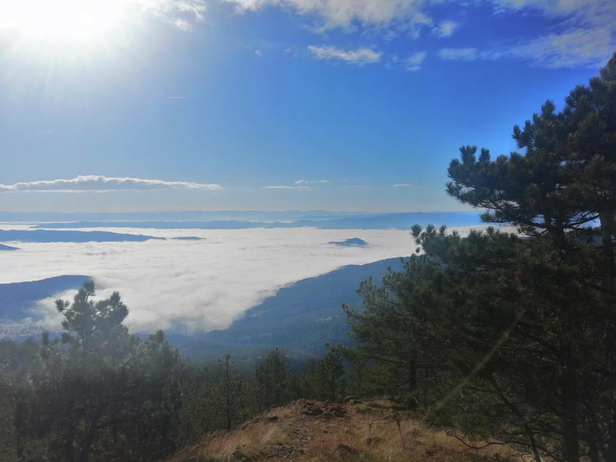 Divcibarski Konak Divcibare Bagian luar foto